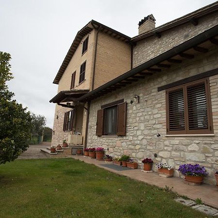 Assisana Affittacamere Санта-Мария-дельи-Анджели-э-деи-Мартири Экстерьер фото